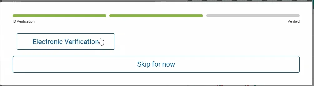 Verification progress bar with electronic verification and skip button.