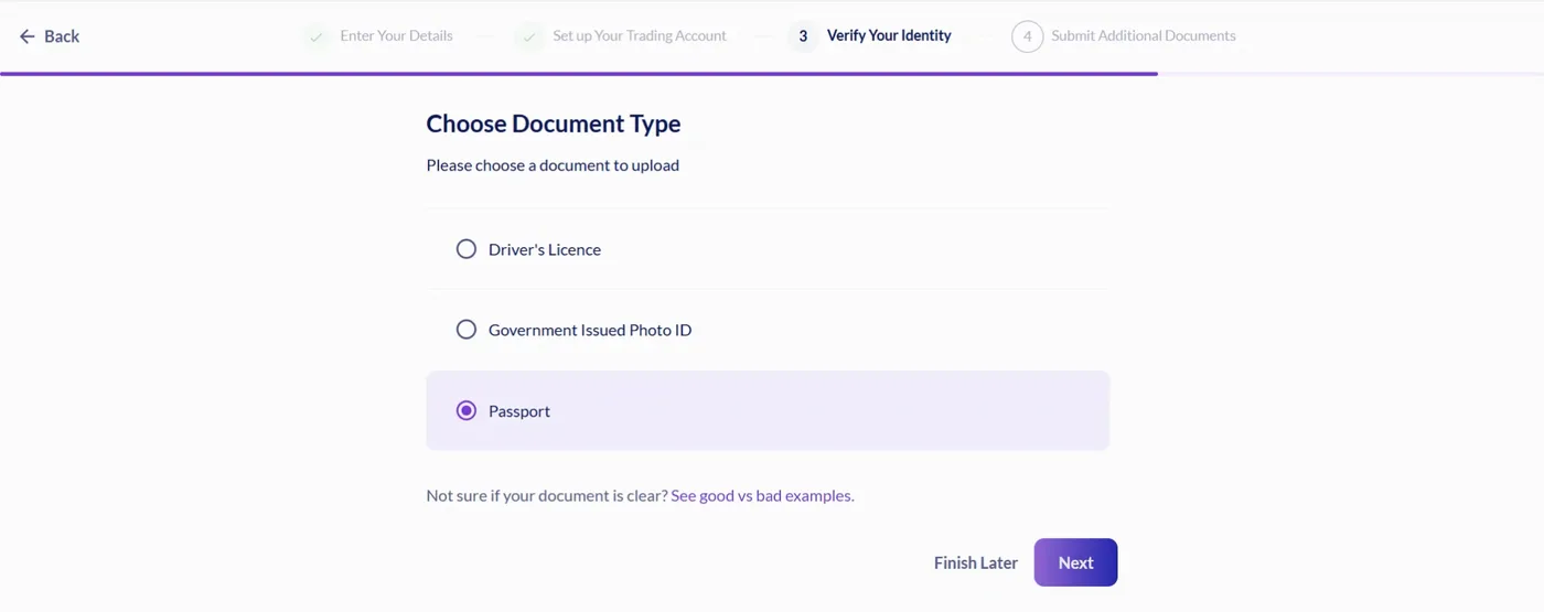 Choose Document Type screen with three options, passport selected, plus a link to good versus bad examples and stage progress ticks.